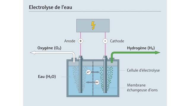 L'électrolyse à énergie renouvelable de l'eau est utilisée pour produire l'hydrogène vert Le process de l'électrolyse de l'eau